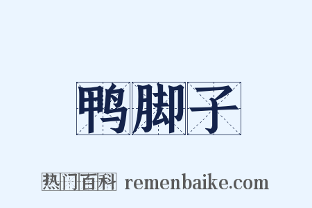 鸭脚子是什么意思的图片